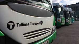 Walls tror inte att andra bussbolag är intresserade av turerna som staden nu stöder. Bussar i rad på depå i Tallinn.