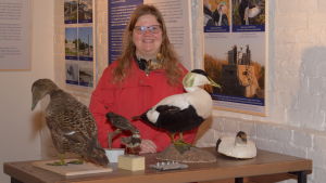 Laura Lotta Andersson på utställningen Hangö udds förunderliga natur. En kvinna med långt ljust hår står bakom några uppstoppade sjöfåglar. Hangö museum.