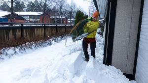 Joa Bergqvist flyttar på en av kaninfällorna i Vårberga. Joa Bergqvist med kaninfälla.