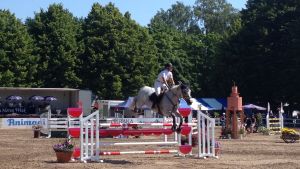 Sea Horse Week fortsätter vid Parkdammen. En häst med ryttare hoppas över ett hinder på en sandplan.