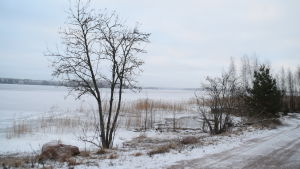 Det ska bli lättare att ta sig till stränderna i Störsvik. En havsstrand i vinterskrud.