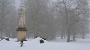 Naturen bjuder in till musik. En staty av en kvinna i dimmigt och vintrigt landskap. Träd i bakgrunden.