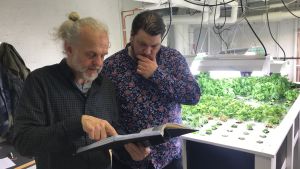 Torbjörn Frisö och Markus Jantunen läser på om de olika hydroponiska odlingsteknikerna. Två män tittar i en pärm och i bakgrunden finns en basilikaodling.