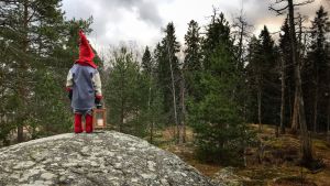 En av De Små? En tomte står på en sten med ryggen mot kameran och tittar in i skogen