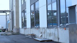 Byggandet av den nya fabriksbyggnaden har sysselsatt drygt 600 personer. Del av framsidan av Fermions nya fabriksbyggnad i Hangö.