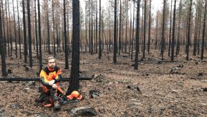 Olof Brink är ganska säker på att han jobbar med skog i framtiden, men han hoppas att han inte behöver jobba i den här nedbrunna skogen. En skogsarbetare i skyddsutrustning sitter på marken i en skog av svarta nerbrunna stammar.