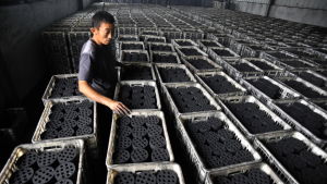 Kina stoppade så gott som all kolimport från Nordkorea i februari men importen av andra metaller ökade samtidigt dramatiskt Kina stoppade största delen av kolimporten från Nordkorea i februari men importen av andra metaller ökade samtidigt dramatiskt