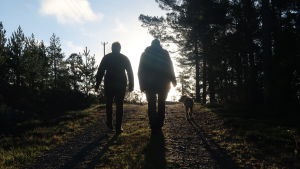 Skogsbruket och naturskyddet mår bra av en öppen dialog. Silhuett av Panu och Siv fotat bakifrån mot solen.