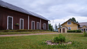 I maj 1897 brann Harsböle by nästan helt upp. Fem jordbruksställen brann ner, ett av dem var gamla Rosasgård. Nu har det byggts upp på nytt - ut på åkrar och långt från grannar för säkerhets skull. Gult boningshus och rött lider