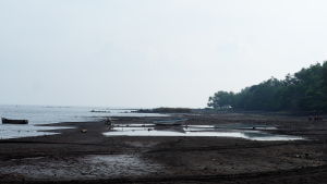 Vy från vulkanön Ometepe Vy från vulkanön Ometepe, Nicaragua.