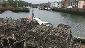Fiskerättigheterna hör till en av stötestenarna för parterna. Fiskehamnen i Eyemouth, Skottland.