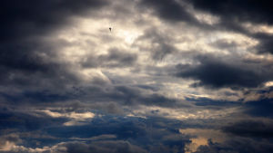 Himmel med dramatiska moln och fågel som flyger högt