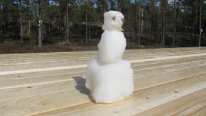 En vecka in i maj kunde vi göra en snögubbe.. En snögubbe på ett bord.