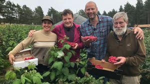 Närmat med Micke Björklund och Matias Jungar fick sin början i Österbotten i fjol. I år genomfördes projektet i Västnyland. På bilden poserar de tillsammans med hallonodlarna Helene von Flittner och Torsten Wulff. Helene von Flittner, Michael Björklund, Matias Jungar och Torsten Wulff står i en hallonodling med lådor med hallon i i händerna.