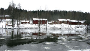 Området där det fälldes träd i vintras ligger vid Svartån. En isig å och hus vid kanten av ån.