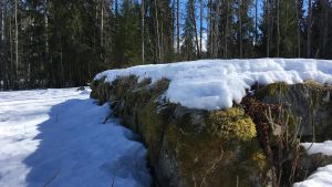 Vid den här husgrunden vill Anders von Bondsdorff bygga en gårdkarlsbostad. En husgrund vid prästgården i Tenala.