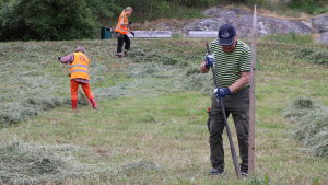 Hötalkot kom igång med frivilliga men erfarna deltagare. Hötalkot kom igång med frivilliga men erfarna deltagare.