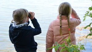 Lilli Nurmi och Amanda Kemppainen spanar efter fåglar. Fågelskådning i Katrinedals naturskyddsområde i Åbo