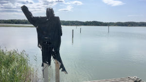 En del av bryggorna vid Airiston Helmis fastigheter har prytts av dockor för att hålla nyfikna besökare borta. en svart figur gjord av tyg och trä vinkar ut mot havet.