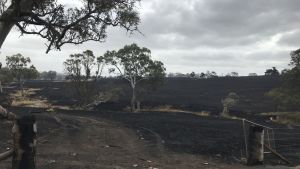 Skogsbränderna har dragit fram över Lobethal, Adelaide 21.12.2019. Skogsbränderna har dragit fram över Lobethal, Adelaide 21.12.2019.