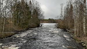 Hjulforsen och pärlan därifrån var avgörande för att det inte skulle bli någon konstsjö. Hjulforsen i Esse å.