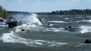 Rejäla vågor och hård vind vid Fjärdskär i Korsholm, 7 juni 2020. Vågor slår mot strandstenar i hård vind.