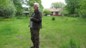 Dick Forsman i sin egen trädgård. Dick Forsman står på sin gård och betraktar naturen.