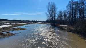 Vårväder i Gislom. Långt borta går det nätt och jämnt att se kyrktornet i Lovisa. Den som har riktigt skarpa ögon kanske urskiljer det i mitten av bilden. En bred vattenfåra med träd på ena sidan och åker på andra sidan.