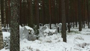 Vid den så kallade Harparskoglinjen finns 3,8 kilometer pansarvagnshinder. Försvarslinjen på Hangö udd. På bilden är det vinter och den så kallade Harparskoglinjen är täckt av snö.