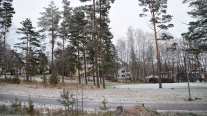 Det finns redan en del bostättning i Störsvik, men det behövs mera. Ett bostadsområde.