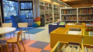 Intäkterna motsvarar bibliotekens årliga personalkostnader i Raseborg, säger Ehrnrooth. Hyllor med lådor och böcker i ett bibliotek.