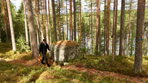 Henri Alén kävelee metsässä sienikori kädessä.