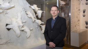 Leif Schulman. Luonnontieteellisen keskusmuseon johtaja Leif Schulman pk