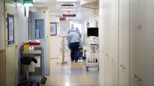 Sjukhusen rapporterar på daglig basis information om patienter som behöver vård till THL och Social- och hälsovårdsministeriet. Sjukvårdare i en sjukhuskorridor.