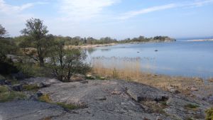 Hangö vill inte har rörelseförbud norr om Tulludden. Tulluddens norra strand i Hangö