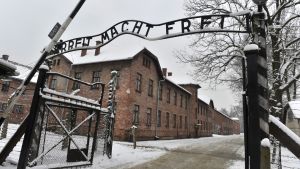 Skylten "Arbeit macht frei" (tyska, ’Arbete skapar frihet’) över lägerporten är en symbol för nazisternas skoningslösa förintelsemaskineri. Skyltar med den grova lögnen fanns också på andra koncentrationsläger i Nazityskland men den i Auschwitz-Birkenau är speciell i och med att den är vågig. Den ursprungliga skylten tillverkades i en verkstad av polska fångar sommaren 1940. Den kännspaka skylten ovanför ingången till koncentrationslägret Auschwitz