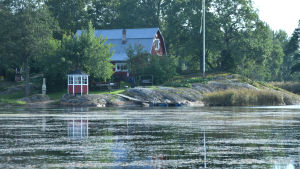 Vattnet utanför Gun-Britt Henrikssons stuga är täckt av vattenväxter. En röd stuga vid en havsstrand där havet är fullt av vattenväxter.