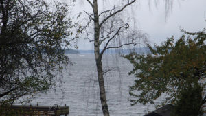 Den här bilden har nu analyserats Bild från operationsområdet i Stockholms skärgård.