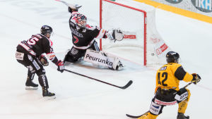 Robin Salo gjorde 21 poäng i grundserien. Robin Salo gör mål mot JYP