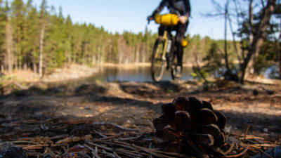 Naturmoten Ta Steget Och Cykla Langt I Naturen Lar Dig Om