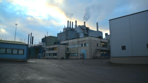 Läkemedelsfabriken i Hangö exporterar en stor dela av sin produktion. Bild av den äldsta fabriksbyggnaden på Fermions fabriksområde i Hangö. Rök kommer ur skorstenarna på taket och det är en varm decemberdag med moln på himlen.