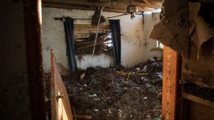 Vattenmassorna förde in lera, sjögräs och bråte i Adrian Cartwrights hus. Ett rum täckt av sjögräs och bråte efter en översvämning.