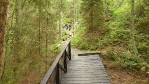 Gångstigar och broar har restaurerats i Dagmars park. Gångstigar och broar har iståndsatts vid överlåtelsen av Dagmars park till Fortsstyrelsen