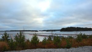 Baggö Marina ska vara en del av pärlbandet. En kylig decembereftermiddag vid båthamnen i Baggö Marina. Vattnet ligger stilla och solen tittar fram bland molnen.