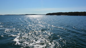 Det finns många intressen som behöver bevakas då man sysslar med miljöfrågor, säger Enestam. Solen skiner över havet.
