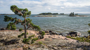 Friluftsområdet har en strandlinje på 15 kilometer. Strandklippa med utsikt över havet och kobbar. Sommar. Tallar.