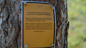 En skylt informerar om att det finns ett fredat fiskgjusbo i trädet. En gul skylt på ett träd informerar om att det finns ett fredat fiskgjusbo i trädet.