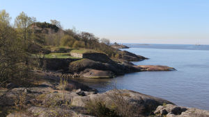 Forststyrelsen tog över Skanslandet år 2013 och har öppnat upp ön för turism. Våren 2016 startar den dagliga båttrafiken till ön. Skanslandet i Helsingfors