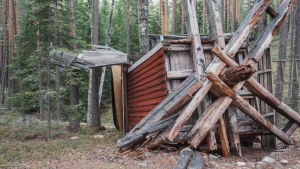 Keskellä metsää kumoon kellahtanut vanha tuulimylly.