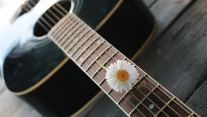 Nicke Sebbas har underhållit sin publik med sång och gitarrspel i 17 år. En gitarr med en blomma i strängarna ligger på en brygga.